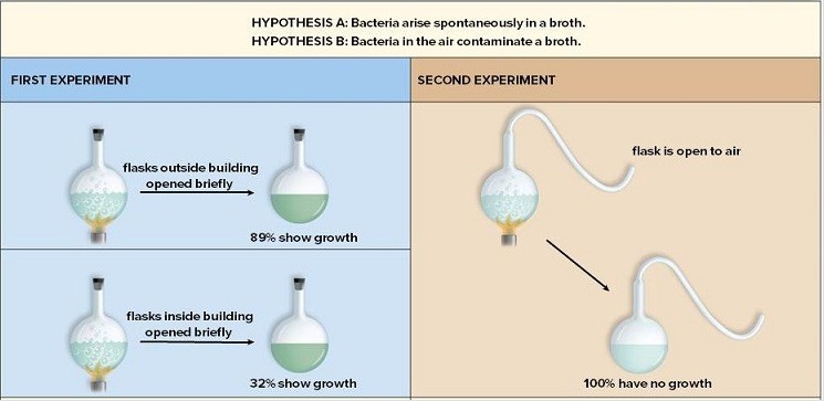 pasteur's experiments supported the idea that